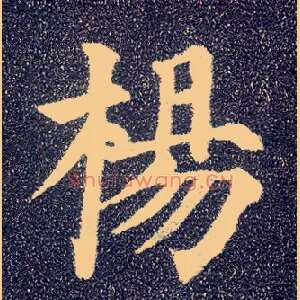 杨