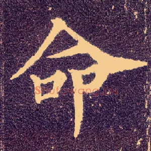 命