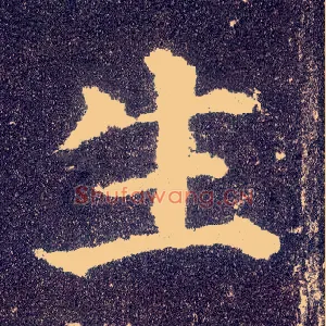 生
