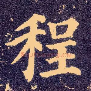 程