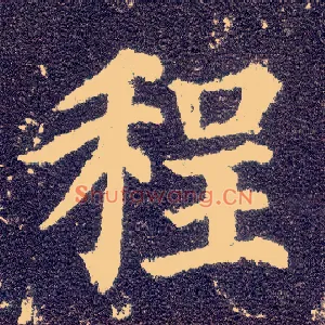 程