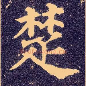 楚