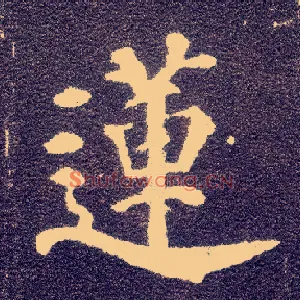 莲