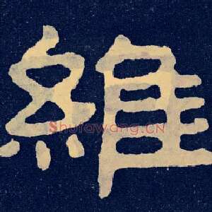 维