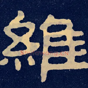 维