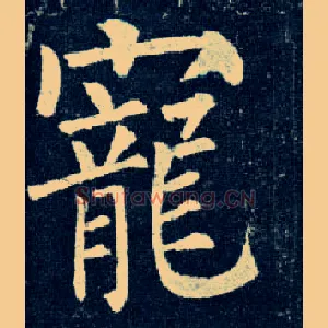宠