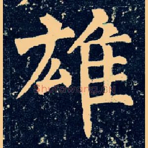 雄