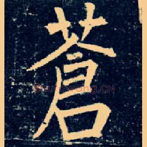 苍