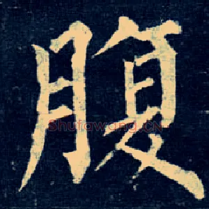 腹