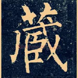 藏