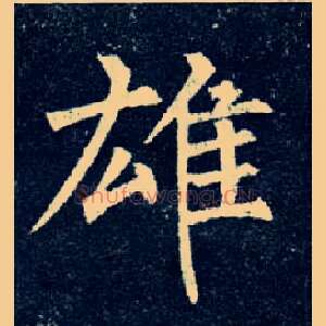 雄