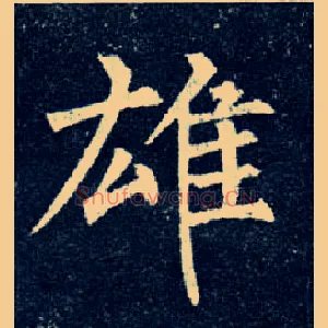 雄