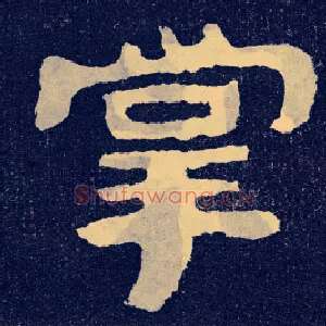 掌