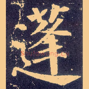 蓬