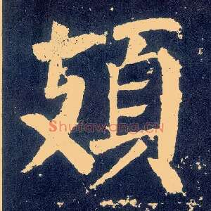 頍
