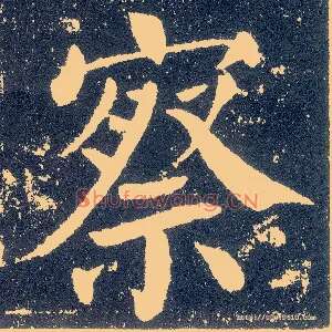 察
