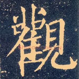 观