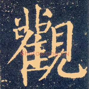 观