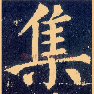 集