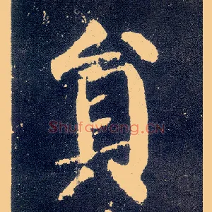员