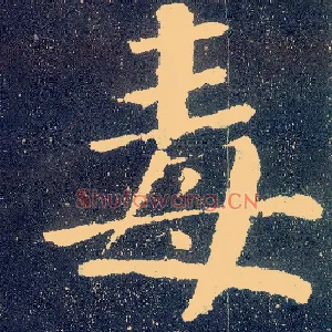 毒