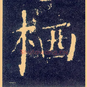 栖