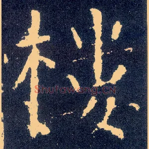 楼