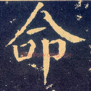 命