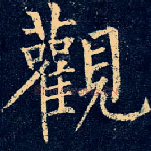 观