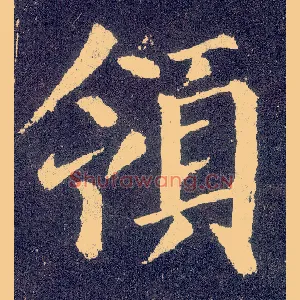 领