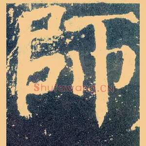 师