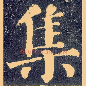 集