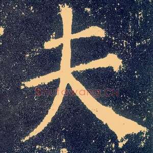 夫