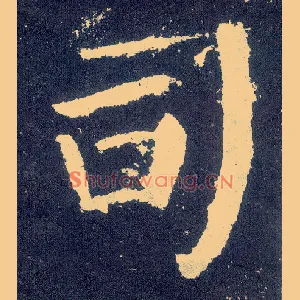 司