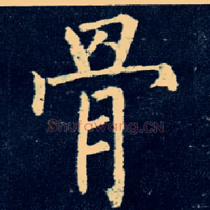 骨