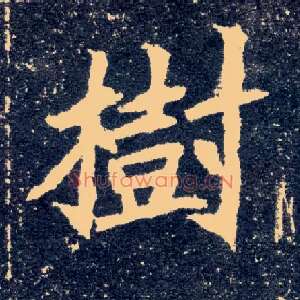 树