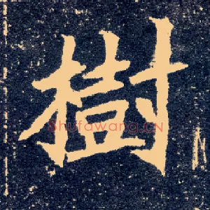 树