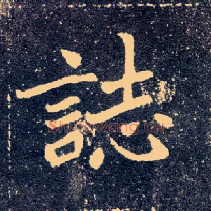 志
