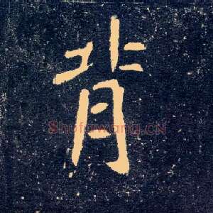 背
