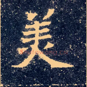 美