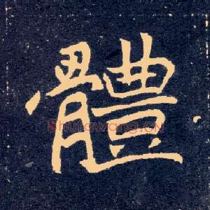 体