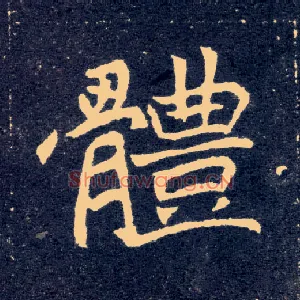 体