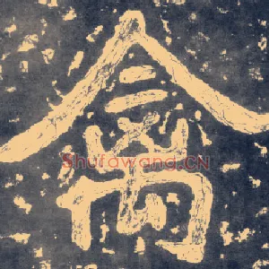 禽