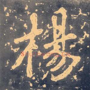 杨