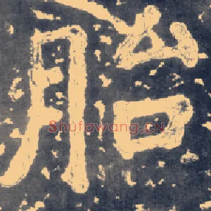 胎