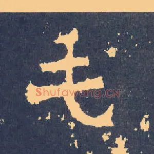 毛