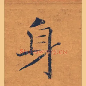 身