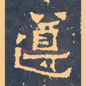 遵
