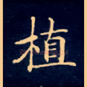 植