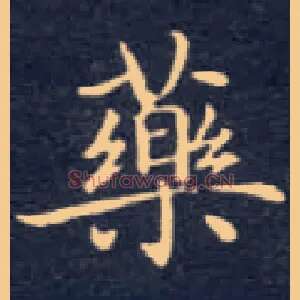 药